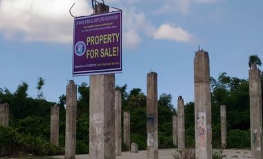 Developers' Choice! Prime Lot Between SM City and Robinsons Mall Tuguegarao for Sale