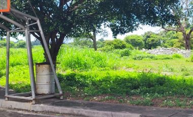 Orchard Golf and Country Club Cavite Lot For Sale 466sqm P8,388,000.00