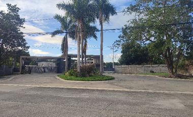 Lot For Sale in Plantation Hills Pulu Amsic Angeles city Pampanga