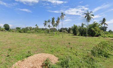 For Sale: 10-Hectares Lot for Warehouse/Manufacturing Plant in El Salvador