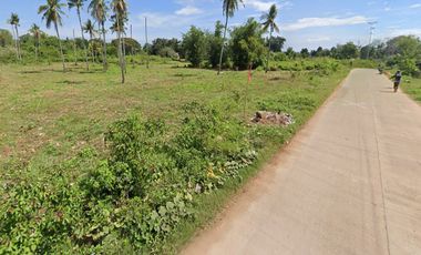 For Sale: 10-Hectares Lot for Warehouse/Manufacturing Plant in El Salvador
