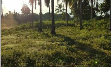 For Sale: 10-Hectares Lot for Warehouse/Manufacturing Plant in El Salvador