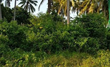 For Sale: 10-Hectares Lot for Warehouse/Manufacturing Plant in El Salvador