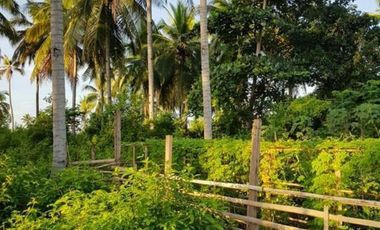 For Sale: 10-Hectares Lot for Warehouse/Manufacturing Plant in El Salvador