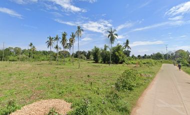 For Sale: 10-Hectares Lot for Warehouse/Manufacturing Plant in El Salvador