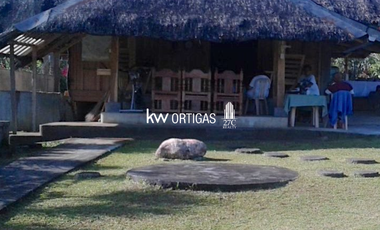 Income-Generating Lot Organic Orchard for Sale in Victoria, Oriental Mindoro