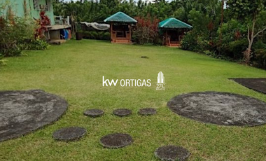Income-Generating Lot Organic Orchard for Sale in Victoria, Oriental Mindoro