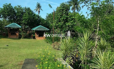Income-Generating Lot Organic Orchard for Sale in Victoria, Oriental Mindoro