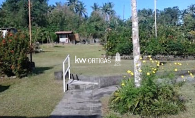 Income-Generating Lot Organic Orchard for Sale in Victoria, Oriental Mindoro