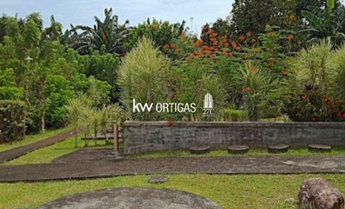 Income-Generating Lot Organic Orchard for Sale in Victoria, Oriental Mindoro