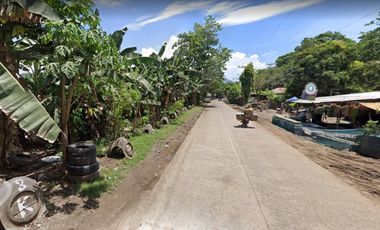 For Sale 25 Hectares Commercial Lot in Villanueva, Misamis Oriental