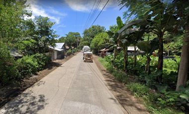 For Sale 25 Hectares Commercial Lot in Villanueva, Misamis Oriental