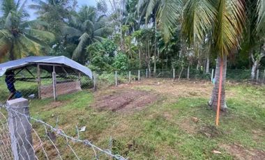 afforable lot in Samal for sale