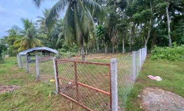 afforable lot in Samal for sale