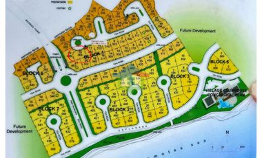 Lot For Sale in Amara Catarman Liloan near the Gate