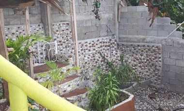 Private Beach House for sale in Island of garden Samal, Samal