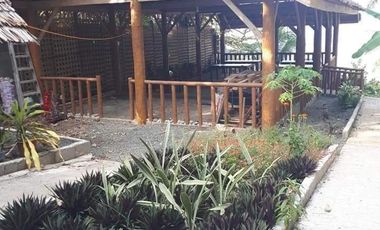 Private Beach House for sale in Island of garden Samal, Samal