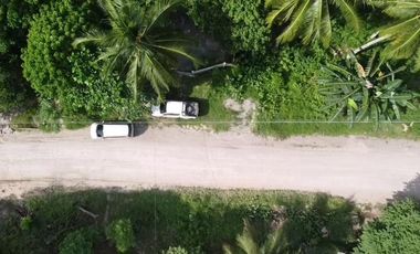 Private Beach House for sale in Island of garden Samal, Samal