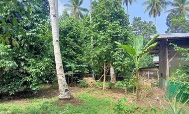 1000 square meters Residential Lot for Sale