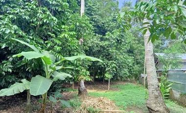 1000 square meters Residential Lot for Sale
