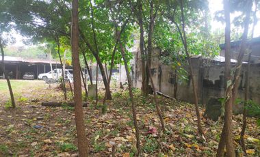 For Sale 2,769sqm Residential Lot at R. Castillo Agdao, Davao City