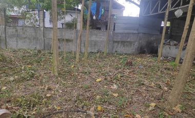 For Sale 2,769sqm Residential Lot at R. Castillo Agdao, Davao City