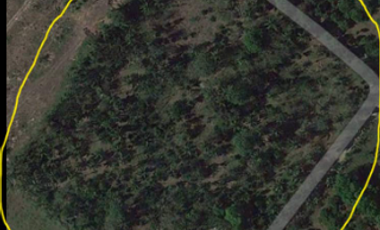 28,000 sqm Farm Lot For Rent at Sta. Ana San Pablo City Laguna