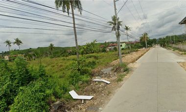 19,758 sqm Lot with a Lot frontage of 112 meters for Rent in Jubay, Liloan, Cebu