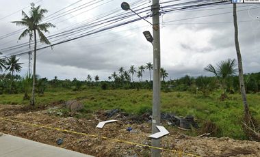 19,758 sqm Lot with a Lot frontage of 112 meters for Rent in Jubay, Liloan, Cebu