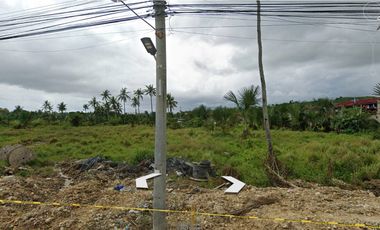 19,758 sqm Lot with a Lot frontage of 112 meters for Rent in Jubay, Liloan, Cebu