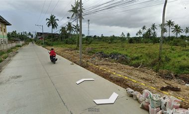 19,758 sqm Lot with a Lot frontage of 112 meters for Rent in Jubay, Liloan, Cebu