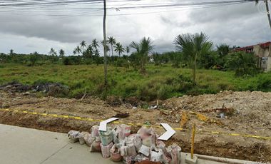 19,758 sqm Lot with a Lot frontage of 112 meters for Rent in Jubay, Liloan, Cebu