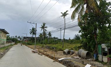 19,758 sqm Lot with a Lot frontage of 112 meters for Rent in Jubay, Liloan, Cebu