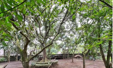 FOR SALE: Tagaytay Lot near Skyranch