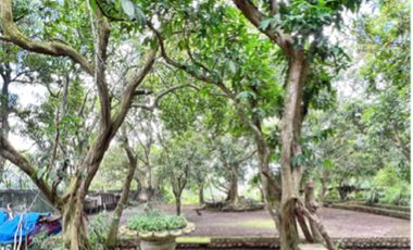 FOR SALE: Tagaytay Lot near Skyranch