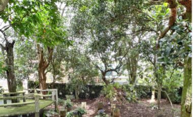 FOR SALE: Tagaytay Lot near Skyranch