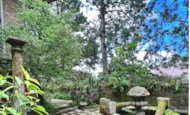 FOR SALE: Tagaytay Lot near Skyranch