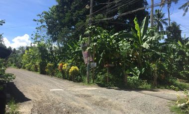 2,849 sqm Residential Lot in Tagum, San Agustin, Davao del Norte For Sale