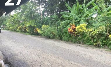 2,849 sqm Residential Lot in Tagum, San Agustin, Davao del Norte For Sale