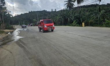 Bohol highway lot for sale commercial/residential at Carmen Bohol 300k