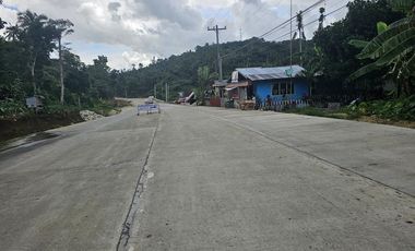 Bohol highway lot for sale commercial/residential at Carmen Bohol 300k