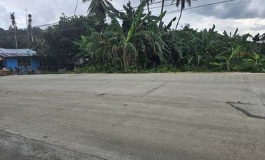 Bohol highway lot for sale commercial/residential at Carmen Bohol 300k