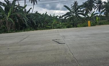 Bohol highway lot for sale commercial/residential at Carmen Bohol 300k