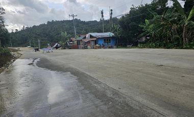 Bohol highway lot for sale commercial/residential at Carmen Bohol 300k