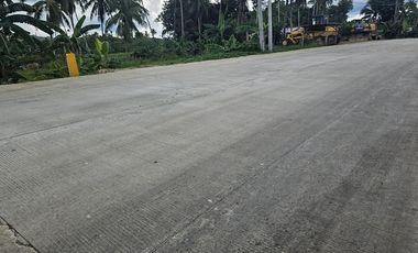 Bohol highway lot for sale commercial/residential at Carmen Bohol 300k