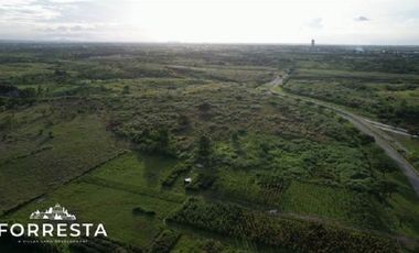 1088 sqm eForresta West, Daang Reyna, Vista Alabang, Bacoor, Cavite