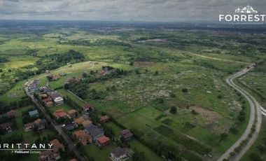 1088 sqm eForresta West, Daang Reyna, Vista Alabang, Bacoor, Cavite