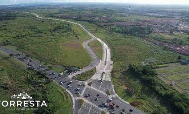 1088 sqm eForresta West, Daang Reyna, Vista Alabang, Bacoor, Cavite