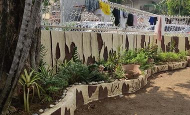 528 sqm 5BR House for Rent in Dona Faustina Subdivision, Quezon City