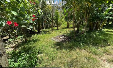 2O0 SQM LOT IN Babak Samal for sale cash or installment